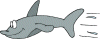 Previous Shark: LeopardShark