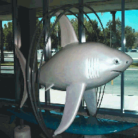 The Shark statue called A3RingSharkus