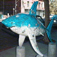 The Shark statue called DoYouKnowTheWayToSanJose2