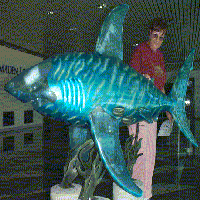 The Shark statue called DoYouWantFrysWithThatFish