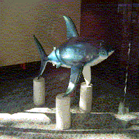 The Shark statue called HammerHead2