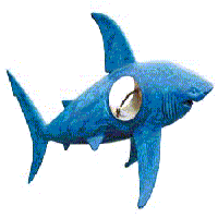 The Shark statue called HolyShark
