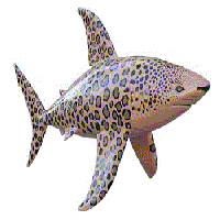 The Shark statue called LeopardShark