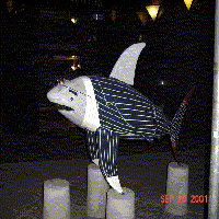 The Shark statue called Lex1
