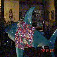 The Shark statue called SeaYa!