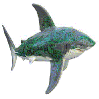 The Shark statue called SharkCircuit1