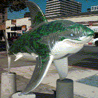 The Shark statue called SharkCircuit2