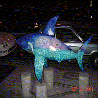 The Shark statue called SharkWorld