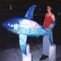 The Shark statue called SharkWorldSunriseWithArtist