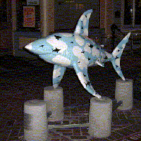 The Shark statue called Sharker