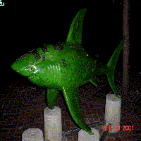 The Shark statue called SqualiformWebcam1