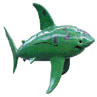 The Shark statue called SqualiformWebcam2
